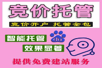 百度推广在电商行业的成功案例